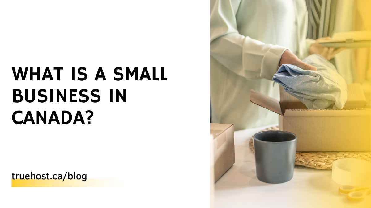 What is a Small Business in Canada?