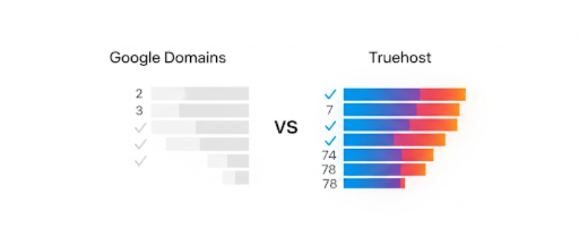 Domain from Google Vs Truehost