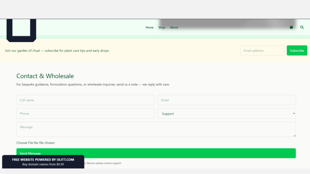 website publishing